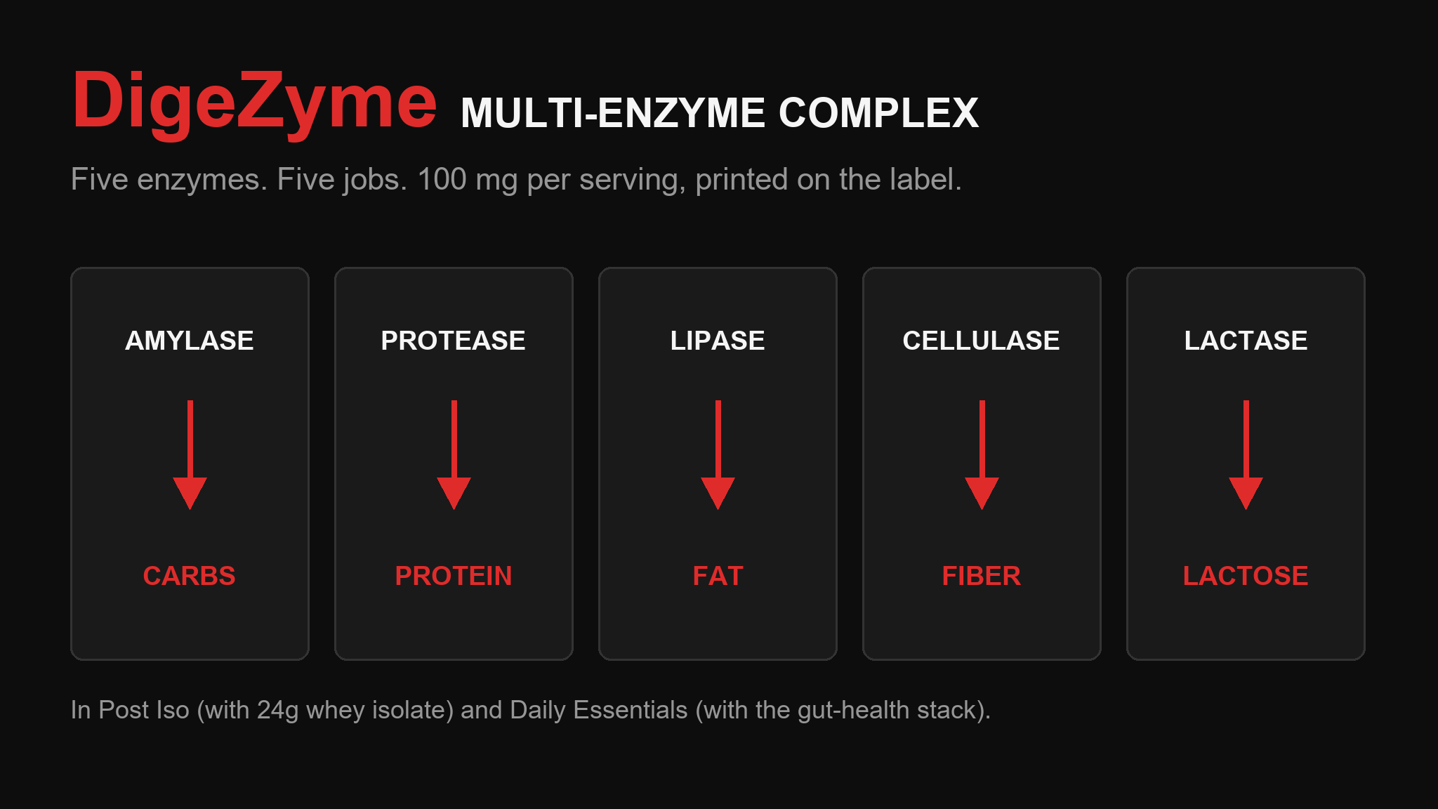 Five DigeZyme enzymes mapped to their jobs: carbs, protein, fat, fiber, and lactose
