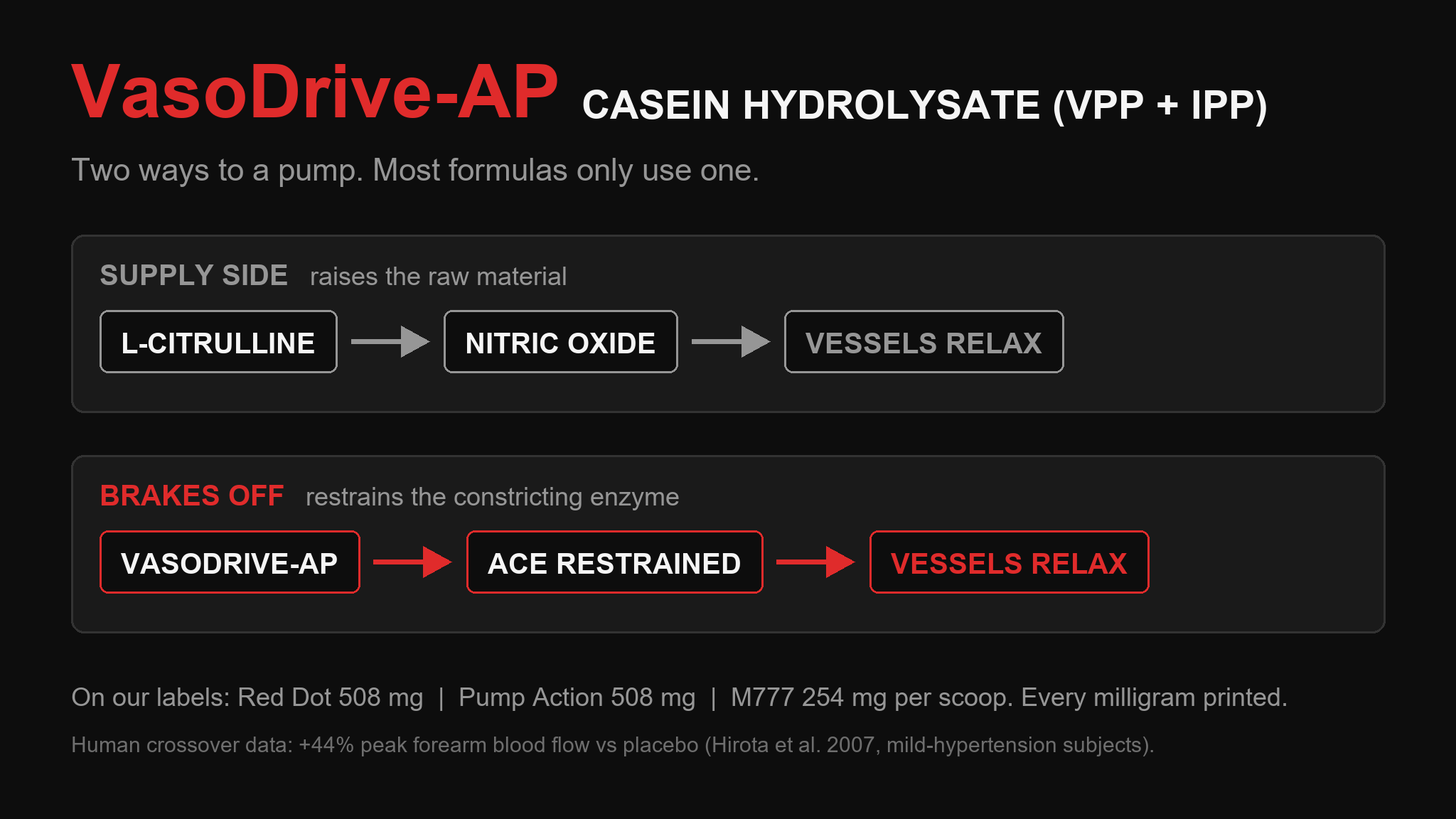 Two-lane diagram: L-Citrulline raises nitric oxide while VasoDrive-AP restrains ACE, both relaxing vessels