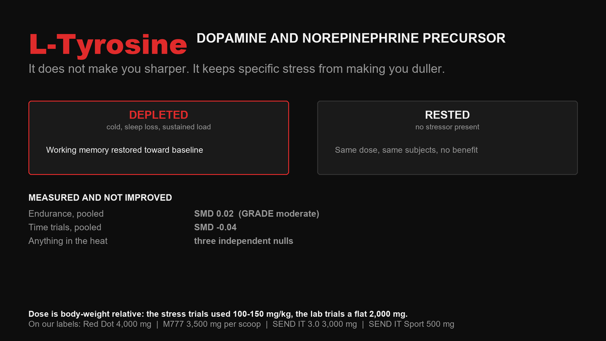 Comparison showing L-Tyrosine restores working memory under cold and sleep loss but produces no benefit in a rested state