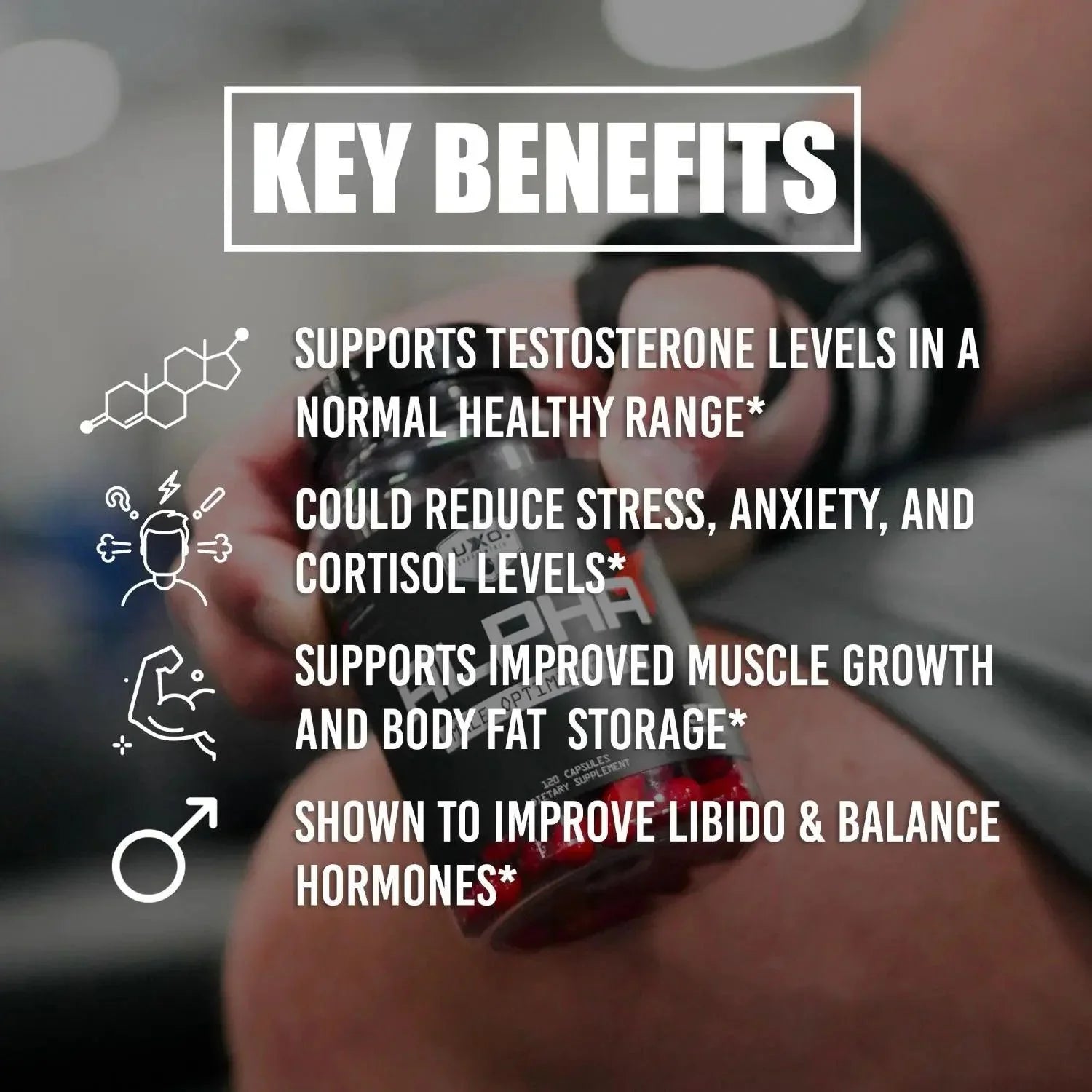 Alpha+ - UXO Supplements