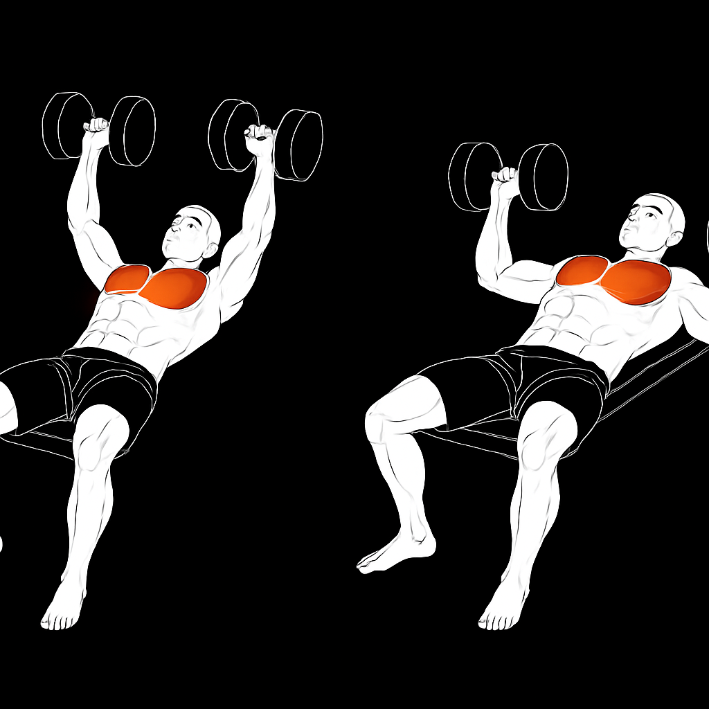 Flat dumbbell bench press for middle chest