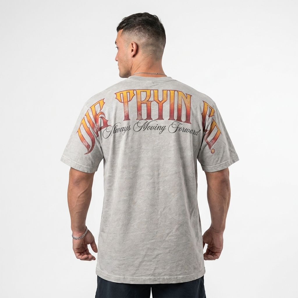 Back of the oversized flame tee in grey with the gradient Die Tryin Co. script